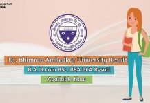 DBRAU Result 2020 Released Check BA BSc BCom Result dbrau result