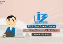 IBPS Clerk Exam Pattern 2020 Available, Check now Selection Process Details Here! ibps clerk exam pattern