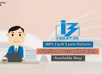IBPS Clerk Exam Pattern 2020 Available, Check now Selection Process Details Here! ibps clerk exam pattern