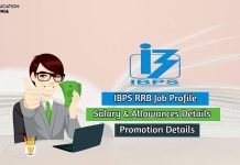 IBPS RRB Salary and Job Profile Get Complete Details Here! ibps rrb salary