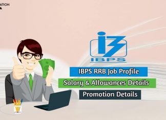 IBPS RRB Salary and Job Profile Get Complete Details Here! ibps rrb salary