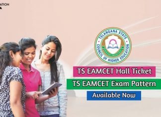 TS EAMCET Hall Ticket 2020 Download TS EAMCET Admit Card Here! ts eamcet hall ticket