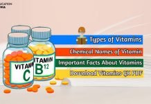 Vitamins GK PDF in Hindi Download (विटामिन संबंधी महत्वपूर्ण तथ्य) vitamins gk pdf