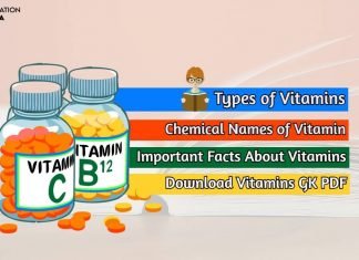 Vitamins GK PDF in Hindi Download (विटामिन संबंधी महत्वपूर्ण तथ्य) vitamins gk pdf