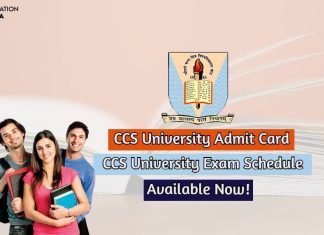 CCS University Admit Card 2020 Download Hall Ticket ccs university admit card