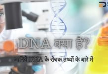 DNA Full Form..?? DNA क्या है जानिए हिंदी में..?? dna full form in hindi