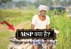 MSP क्या है? MSP को कैसे तय किया जाता है? MSP Full Form msp kya hai