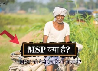 MSP क्या है? MSP को कैसे तय किया जाता है? MSP Full Form msp kya hai