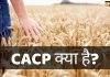 CACP क्या है? CACP Full Form, जानिये हिंदी में cacp full form in hindi