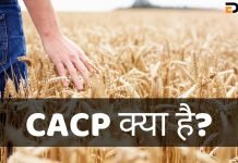 CACP क्या है? CACP Full Form, जानिये हिंदी में cacp full form in hindi