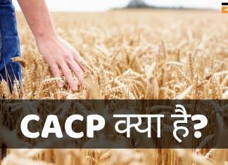 CACP क्या है? CACP Full Form, जानिये हिंदी में cacp full form in hindi