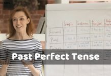 Past Perfect Tense In Hindi Rules And Examples past perfect tense in hindi