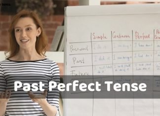 Past Perfect Tense In Hindi Rules And Examples past perfect tense in hindi