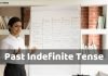 Past Indefinite Tense Rules and Examples past indefinite tense in hindi
