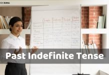 Past Indefinite Tense Rules and Examples past indefinite tense in hindi