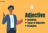 Adjective in Hindi – Definition, Type of Adjective, Examples adjective in hindi